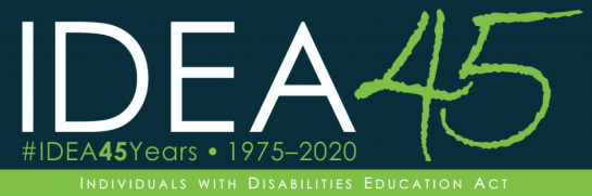 IDEA 45th anniversary logo